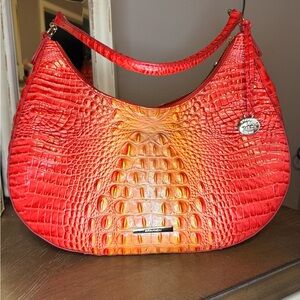 Brahmin Bekka in Infusion